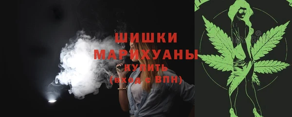 стафф Зерноград